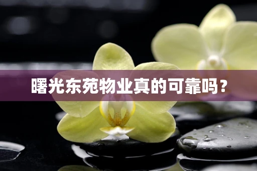 曙光东苑物业真的可靠吗？