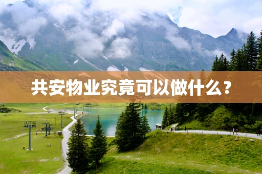 共安物业究竟可以做什么？