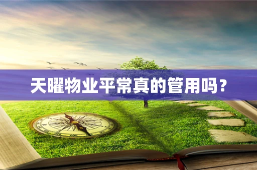 天曜物业平常真的管用吗？