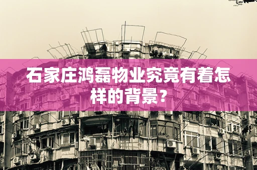 石家庄鸿磊物业究竟有着怎样的背景？