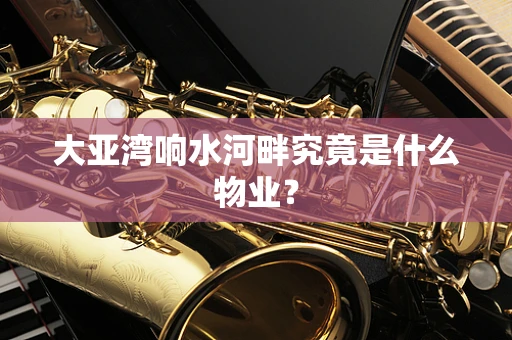 大亚湾响水河畔究竟是什么物业？