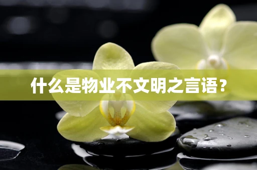 什么是物业不文明之言语？