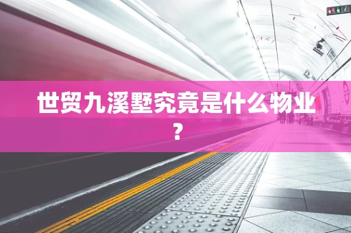 世贸九溪墅究竟是什么物业？