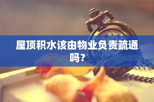 屋顶积水该由物业负责疏通吗？