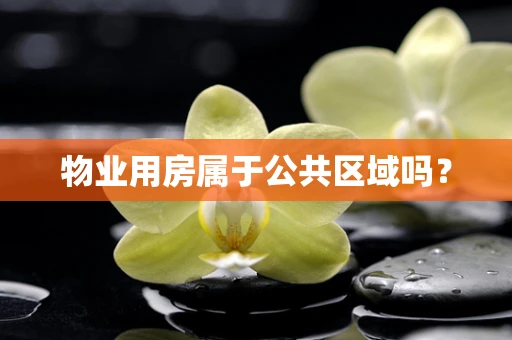物业用房属于公共区域吗？