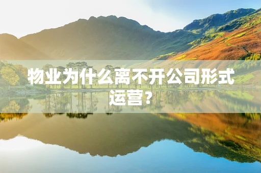 物业为什么离不开公司形式运营？