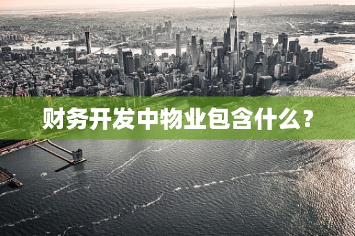 财务开发中物业包含什么？