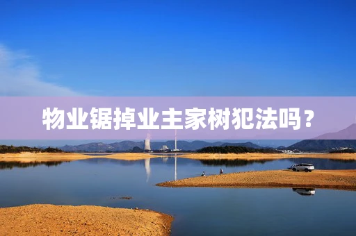 物业锯掉业主家树犯法吗？
