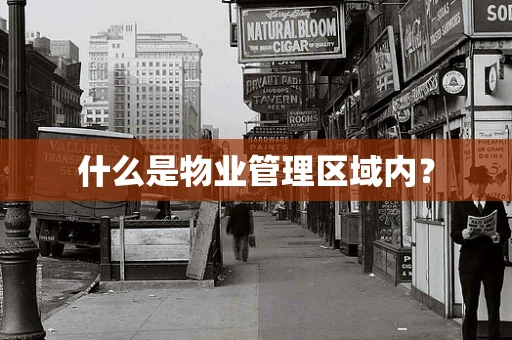 什么是物业管理区域内？