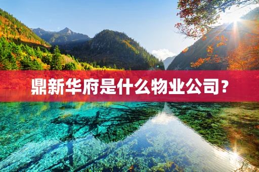 鼎新华府是什么物业公司？