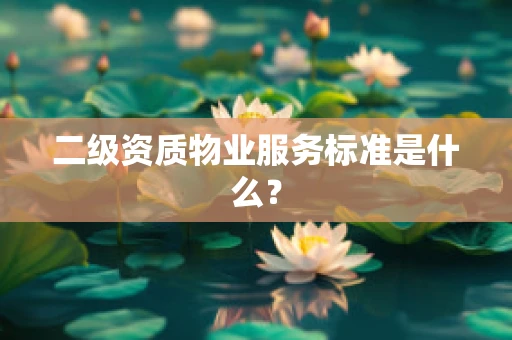 二级资质物业服务标准是什么？