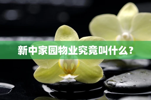 新中家园物业究竟叫什么？