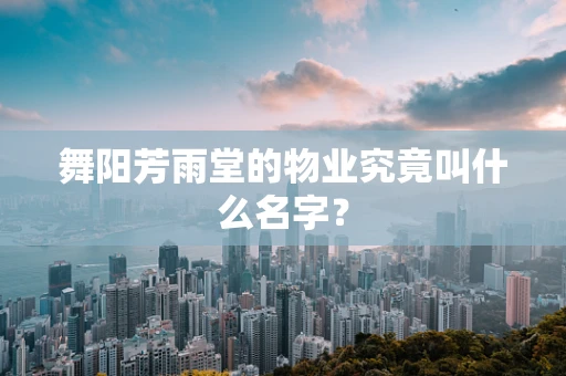 舞阳芳雨堂的物业究竟叫什么名字？