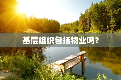基层组织包括物业吗？