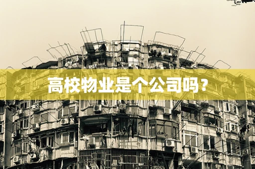高校物业是个公司吗？
