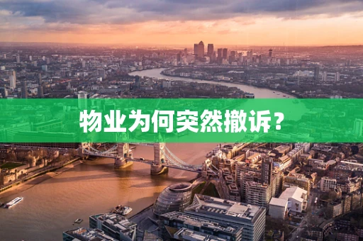 物业为何突然撤诉？