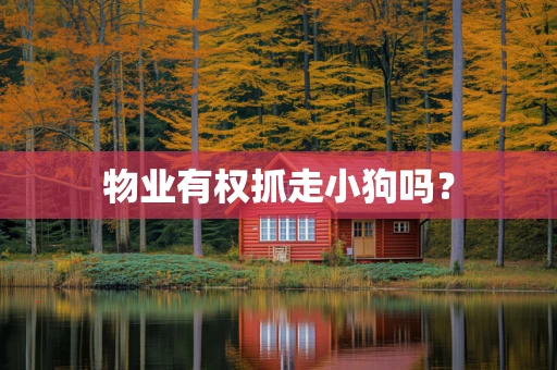 物业有权抓走小狗吗？