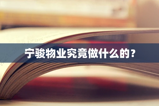 宁骏物业究竟做什么的？
