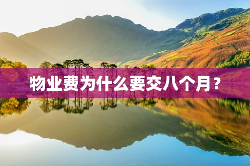 物业费为什么要交八个月？