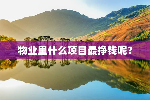 物业里什么项目最挣钱呢？