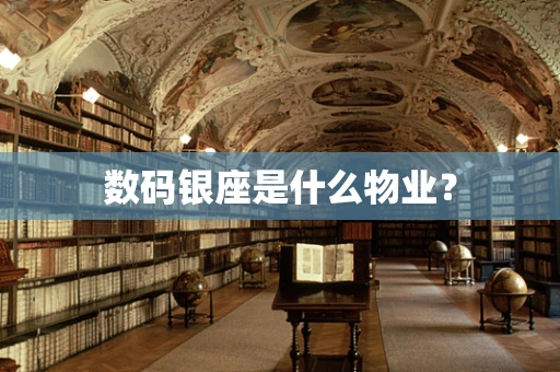 数码银座是什么物业？