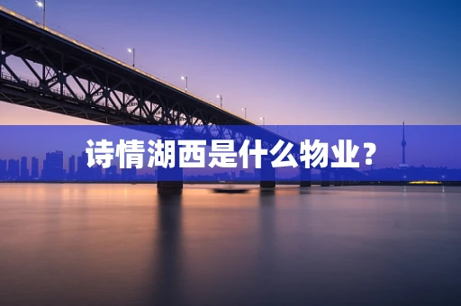诗情湖西是什么物业？