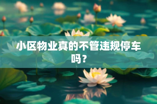 小区物业真的不管违规停车吗？