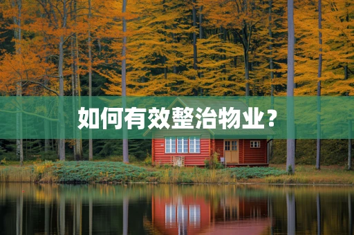 如何有效整治物业？