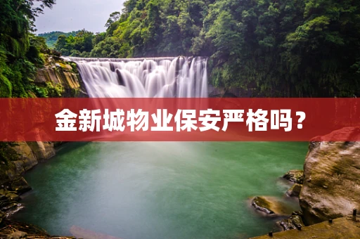 金新城物业保安严格吗？