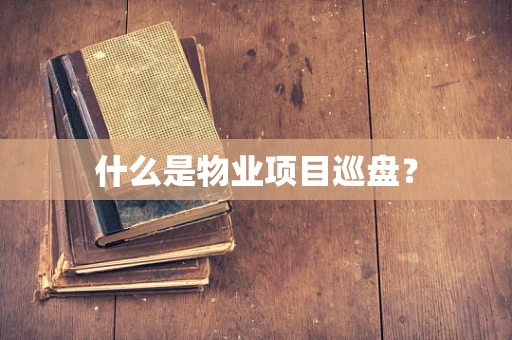 什么是物业项目巡盘？