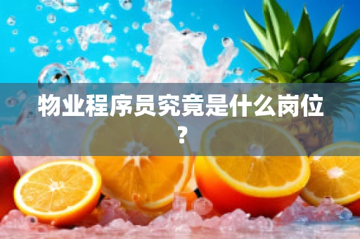 物业程序员究竟是什么岗位？