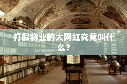 打假物业的大网红究竟叫什么？