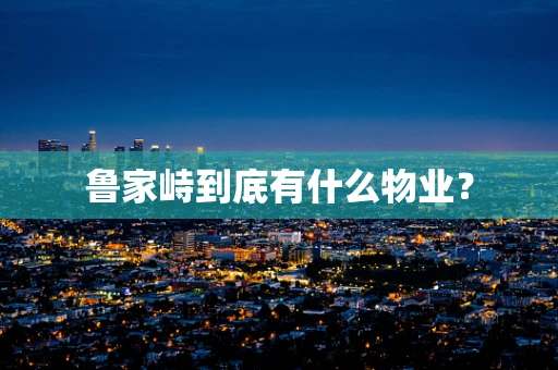 鲁家峙到底有什么物业？