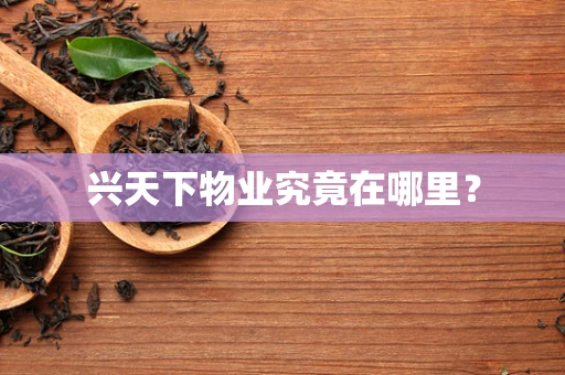 兴天下物业究竟在哪里？