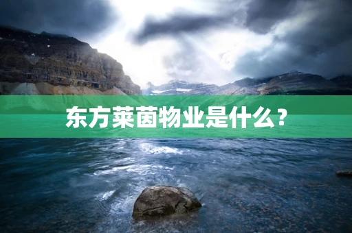 东方莱茵物业是什么？