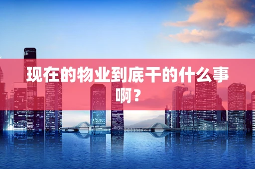现在的物业到底干的什么事啊？