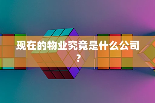 现在的物业究竟是什么公司？