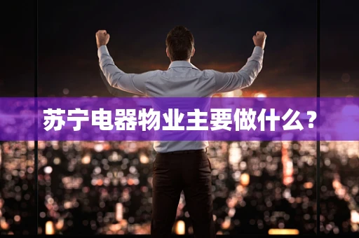 苏宁电器物业主要做什么？