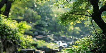 增城益兴物业究竟在什么地方？