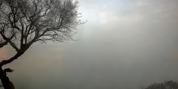红旗新村物业区域有疫情吗？