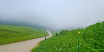 锦绣东路物业收费吗?收费标准是多少?