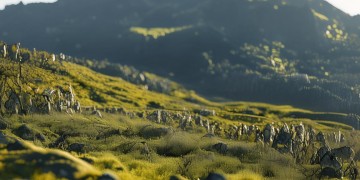 铁岭凯旋城的物业究竟叫什么？