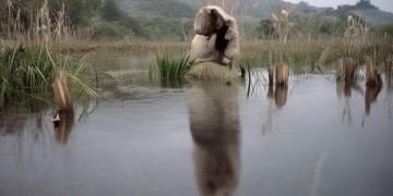 天津小区物业真的有用吗？