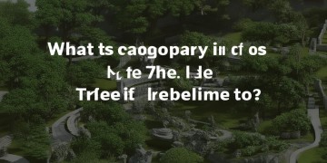 浙里物业究竟属于什么企业类别？