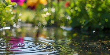 物业水费为什么贵一点点？