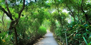 融汇半岛物业真的很差吗？