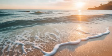 阳光海是否有专业物业管理?